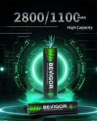 BEVIGOR AA 2800mAh batteries powering remotes and gadgets.