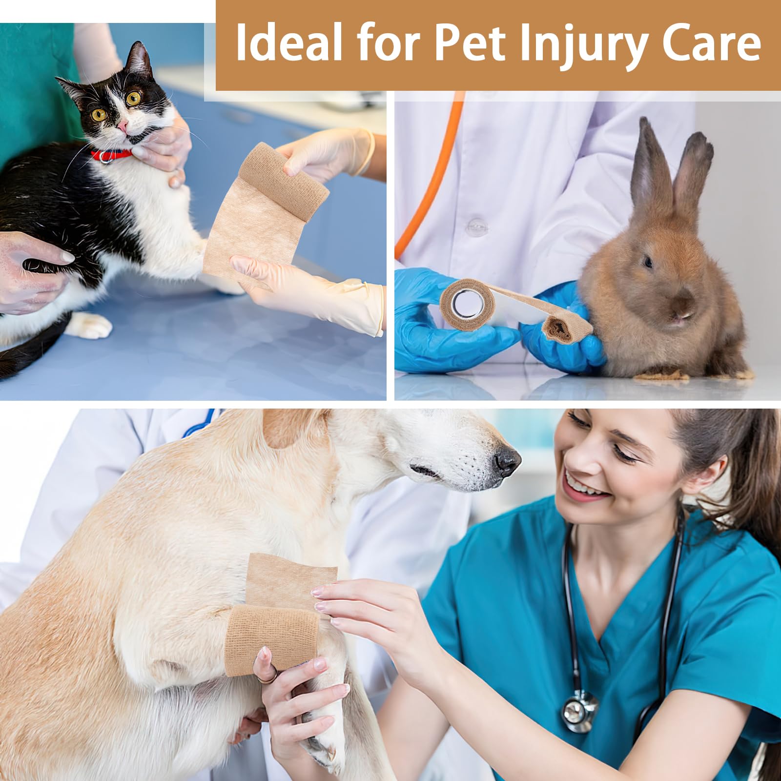 BEVTEE vet wrap securing a paw for gentle yet firm protection