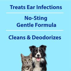 BEXLEY LABS Curaseb supports regular ear hygiene with a cucumber melon scent.
