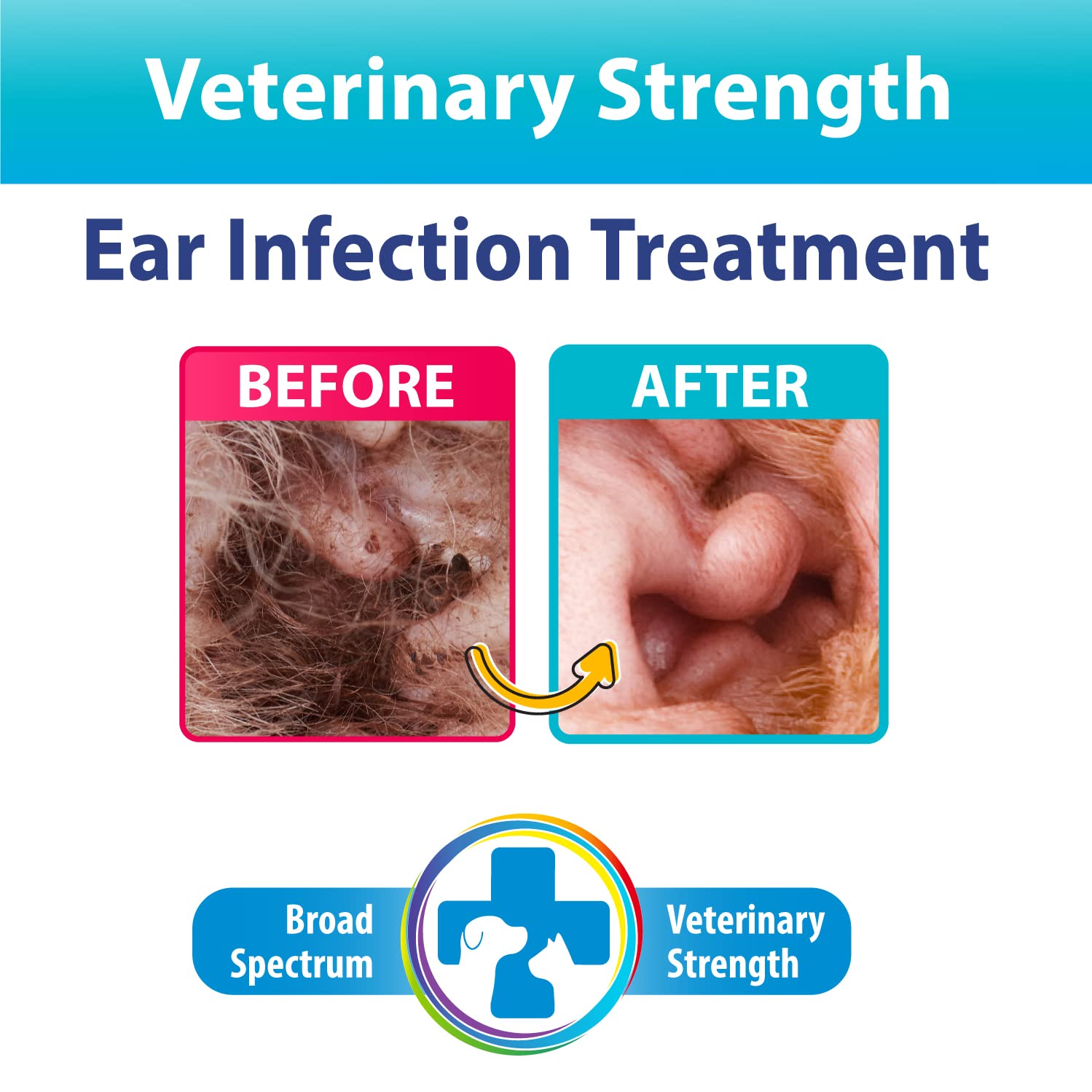 Close-up of Curaseb ear flush applied to a pet's ear.