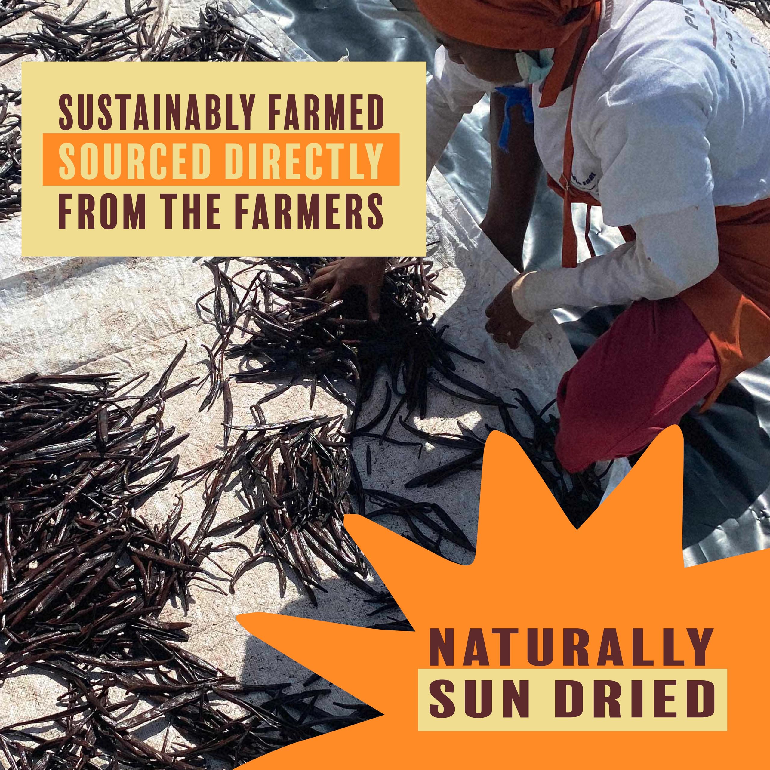 Beyond Good Organic Madagascar vanilla aroma from powder suggests premium flavor base.
