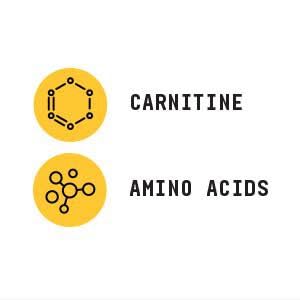 BEYOND RAW Chemistry L-Carnitine powder added to a pre-workout for flexibility.