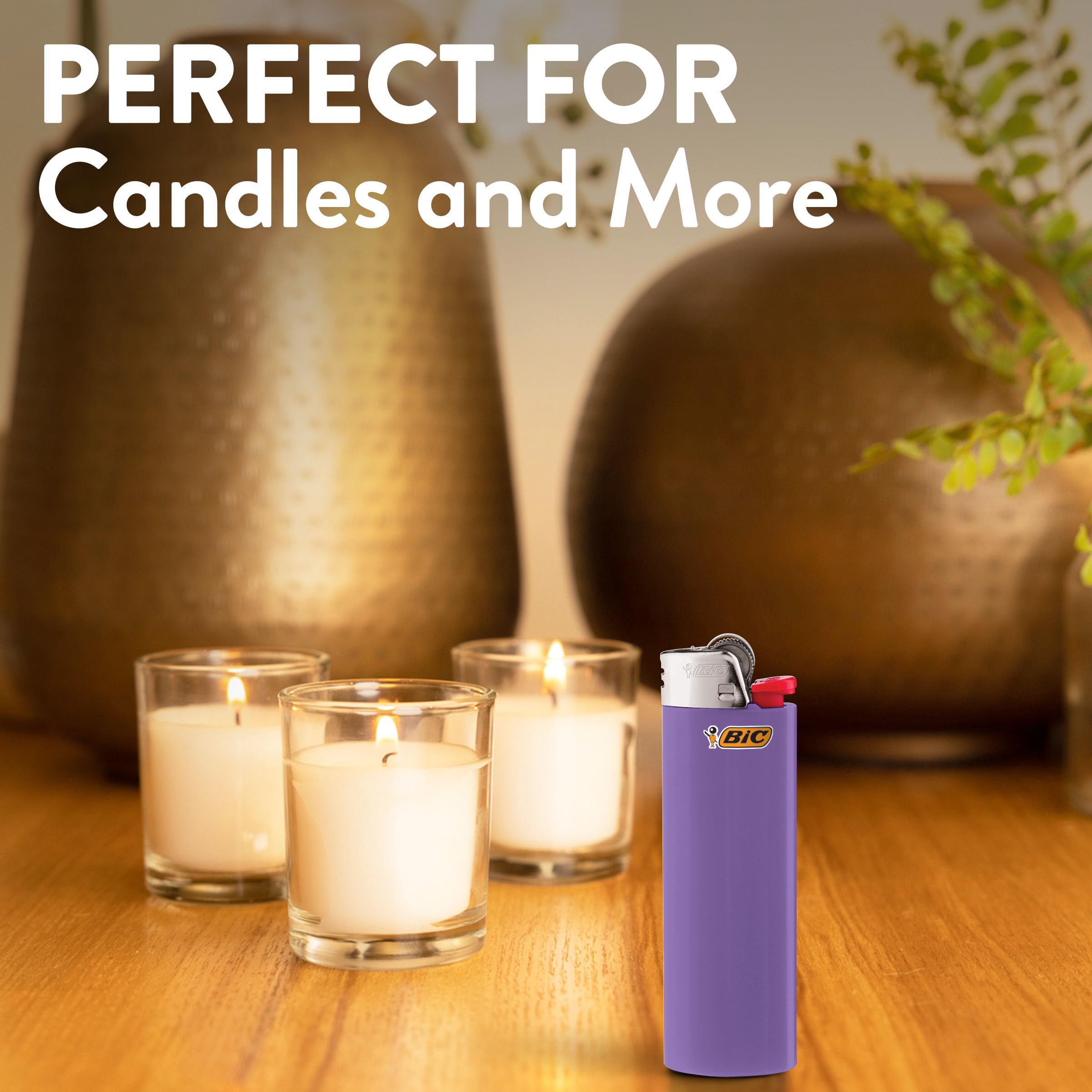 BIC Maxi Pocket red lighter packaging variation emphasizes 12-pack value