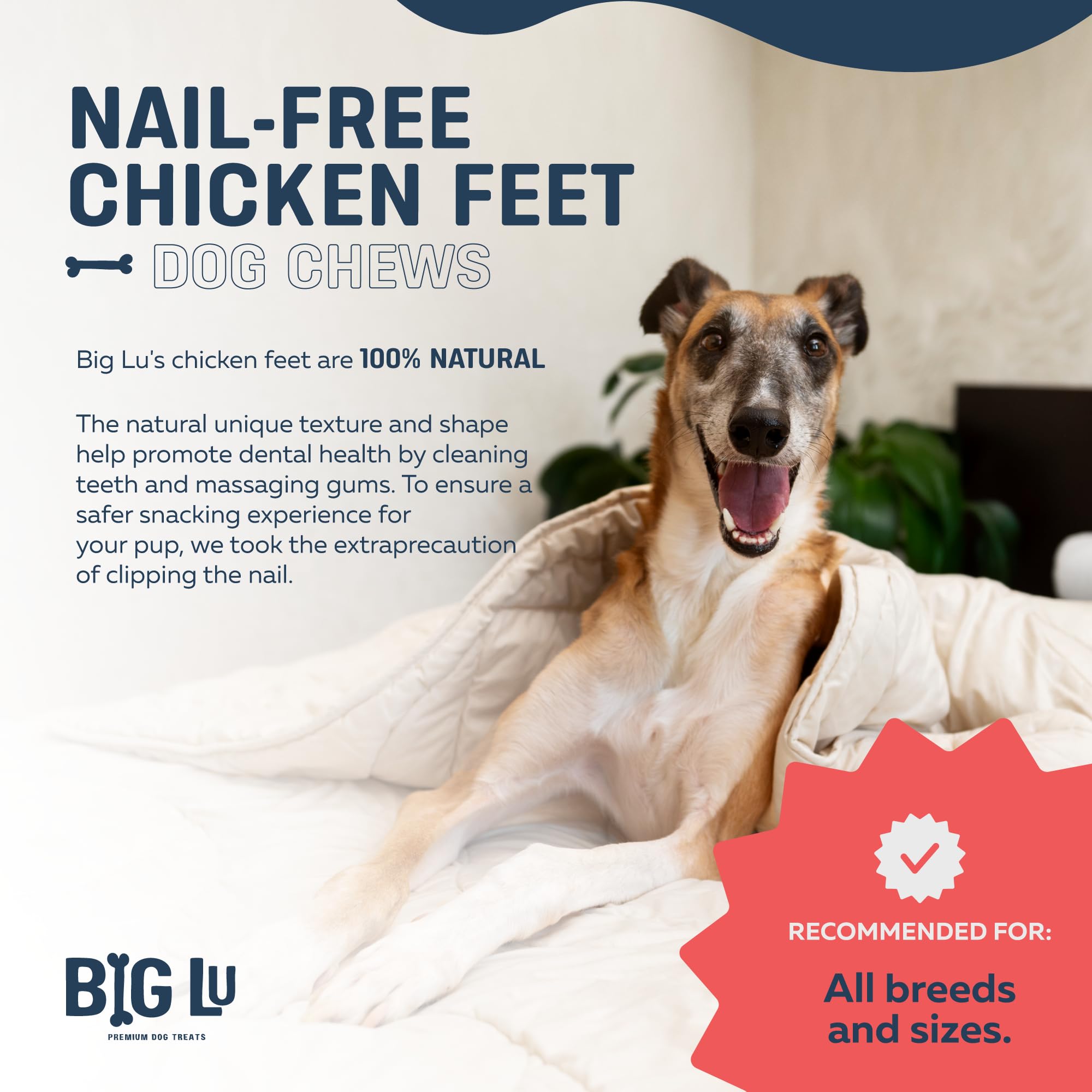 Big Lu chicken feet detail emphasizing high-protein, single-ingredient nutrition