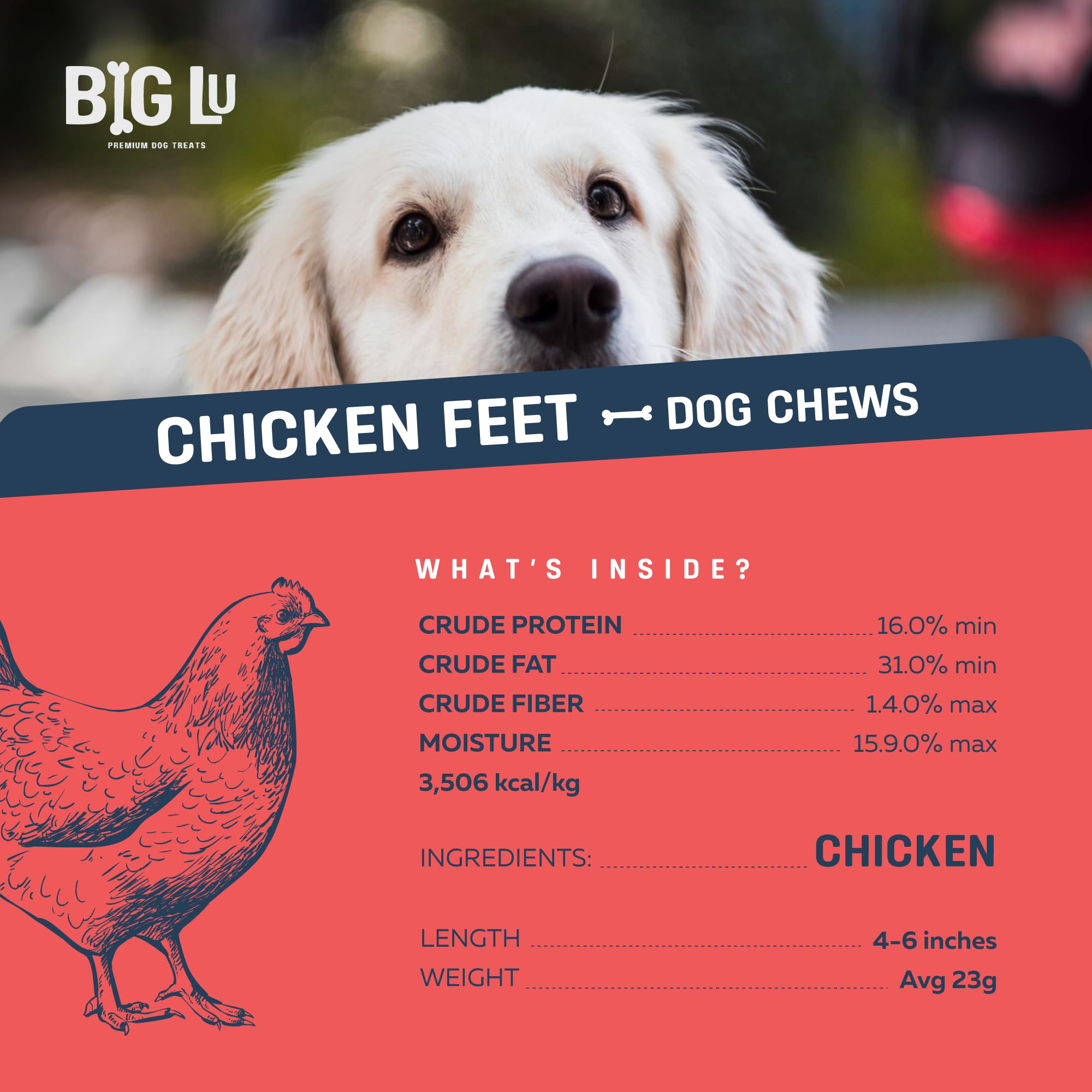Big Lu rawhide-free dog chew image showing clean, safe texture