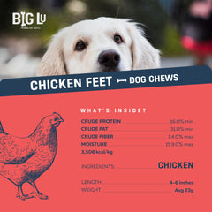 Big Lu rawhide-free dog chew image showing clean, safe texture