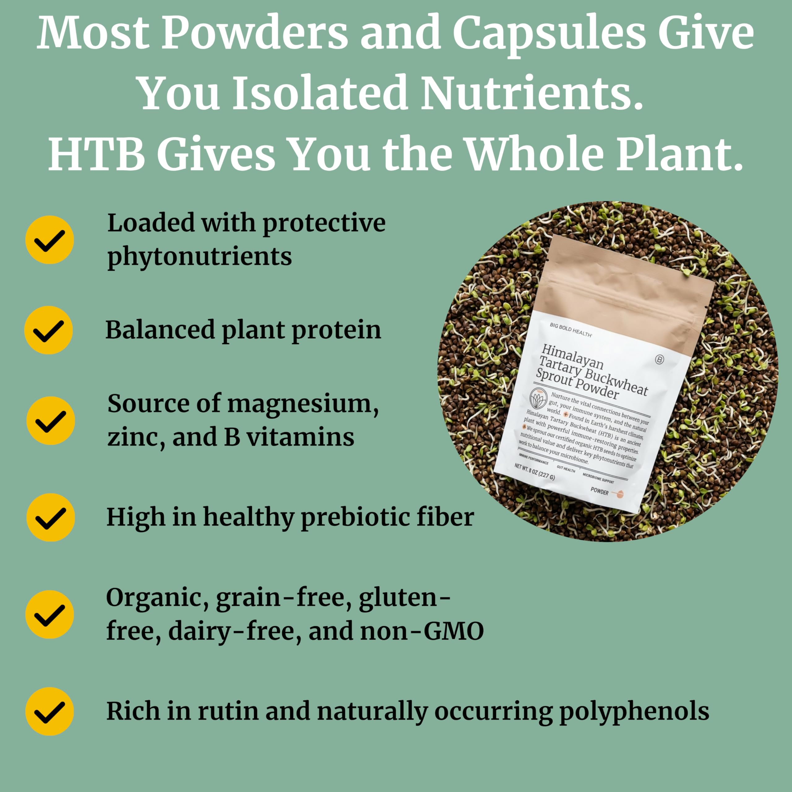 BIG BOLD HEALTH Himalayan Tartary Buckwheat Sprout Powder smoothie shows versatile nutrition on the go