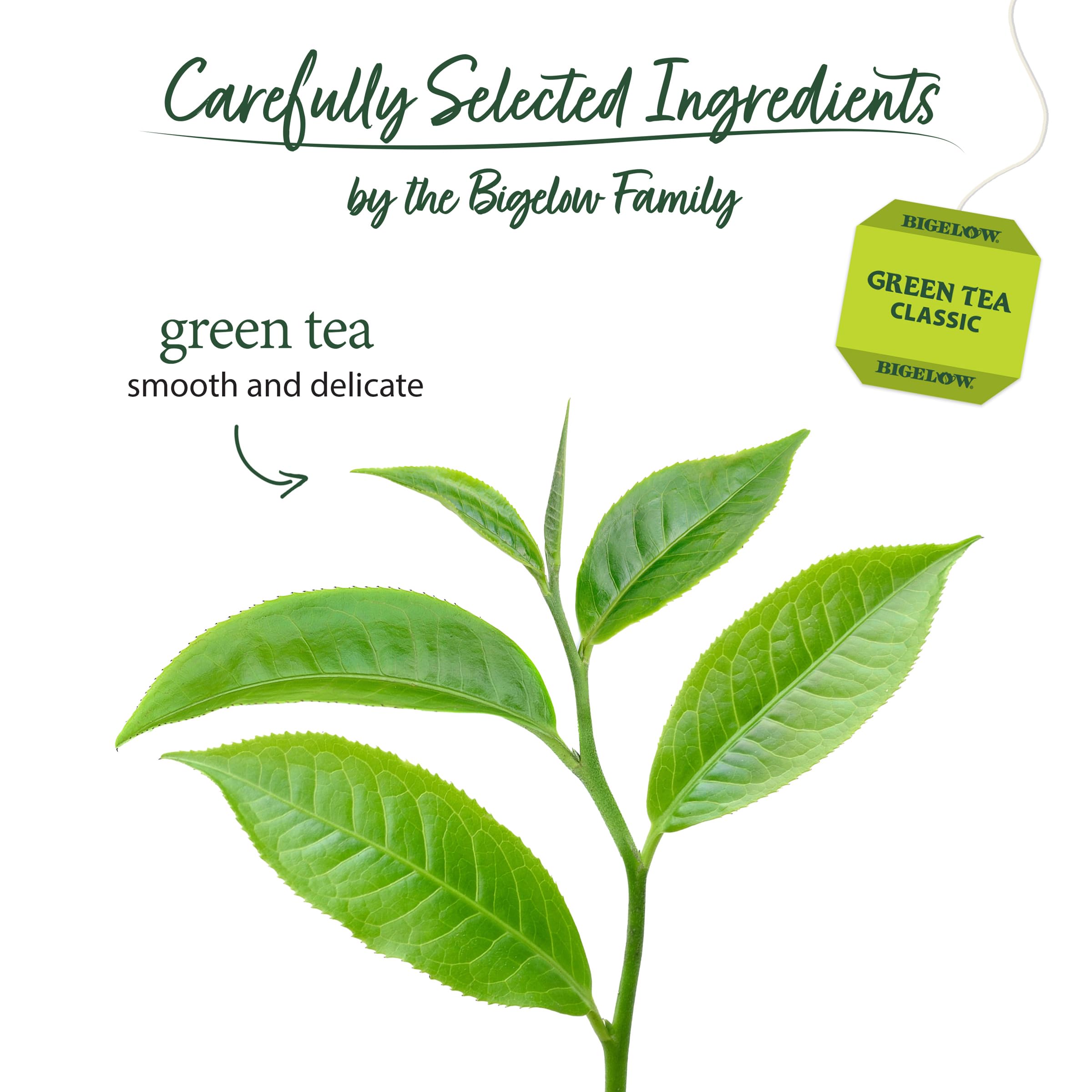 Steeping Bigelow Green Tea yields a smooth, delicate cup.