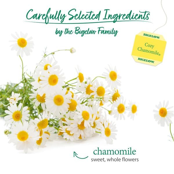 Bigelow Cozy Chamomile foil packets preserve freshness and aroma.