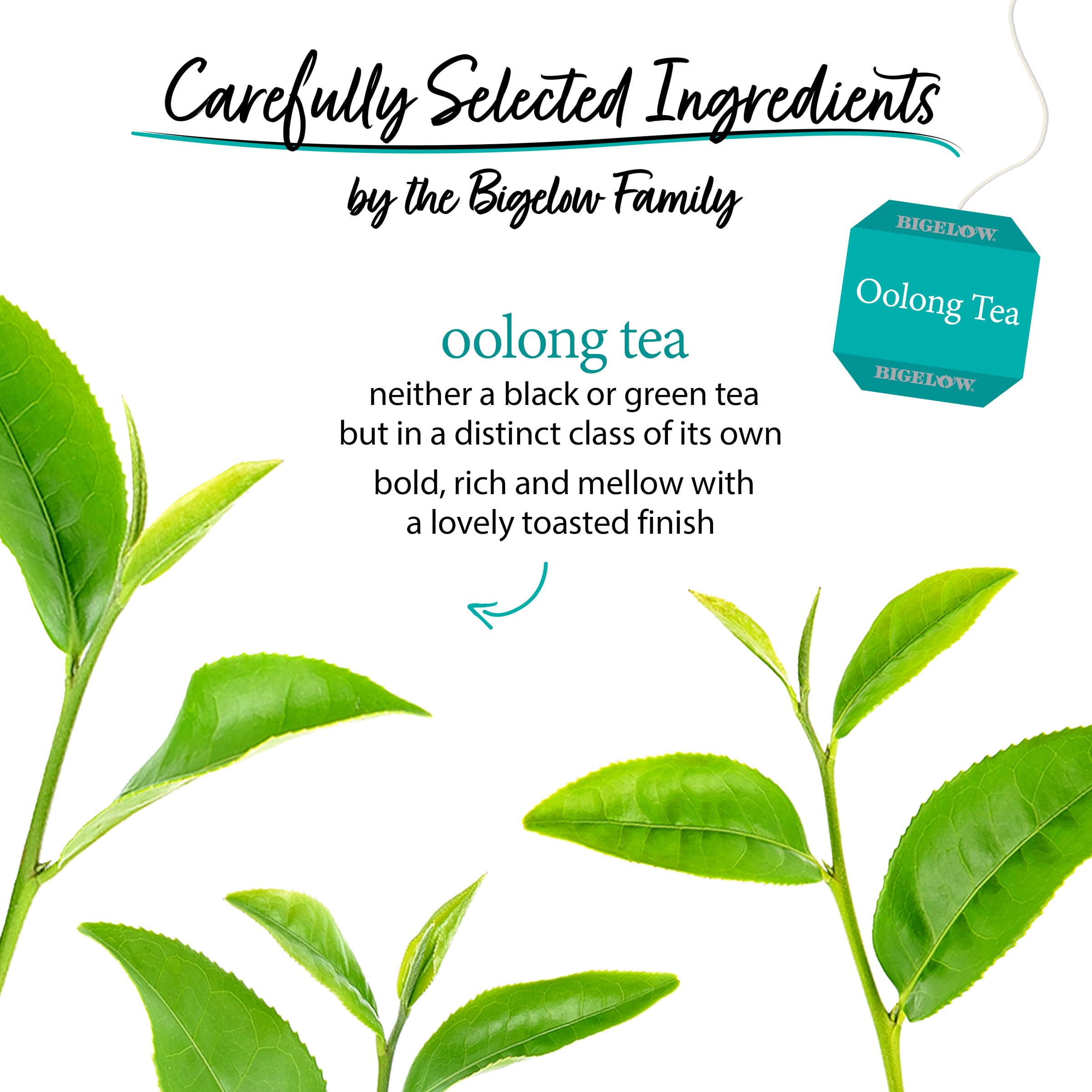 Foil-wrapped tea bags preserve flavor and aroma for on-the-go use.