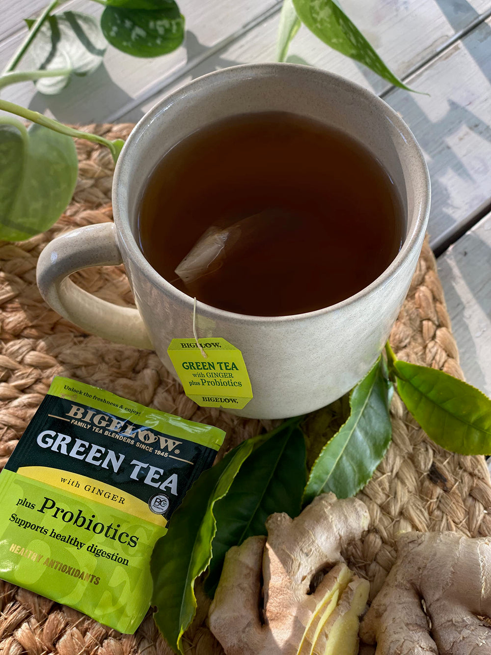 Close-up of Bigelow Green Tea with Ginger Plus Probiotics label shows probiotic blend.