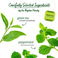 Bigelow Green Tea with Mint box and packaging preserving peak flavor.