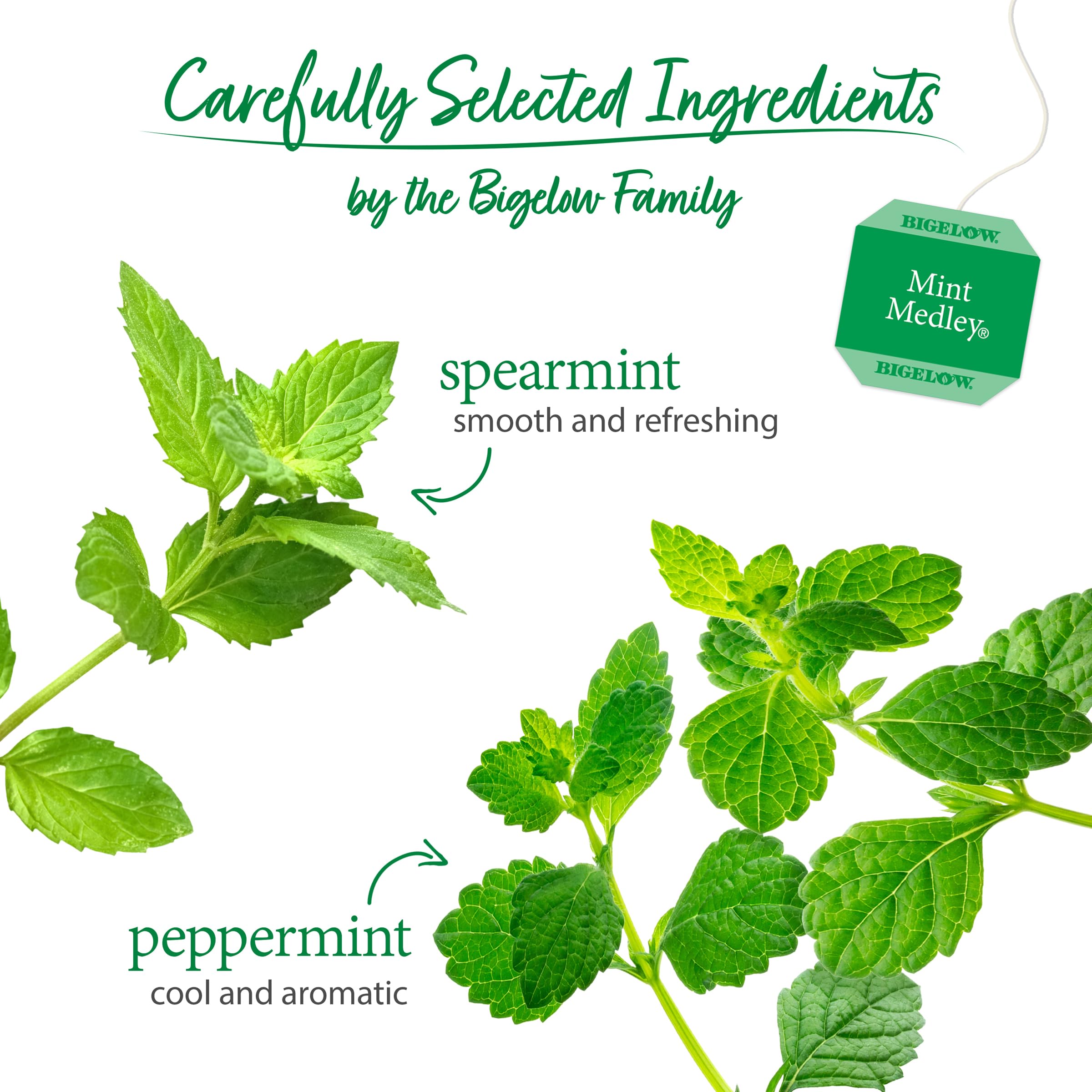 Six-box Bigelow Mint Medley packaging ready for daily tea rituals.