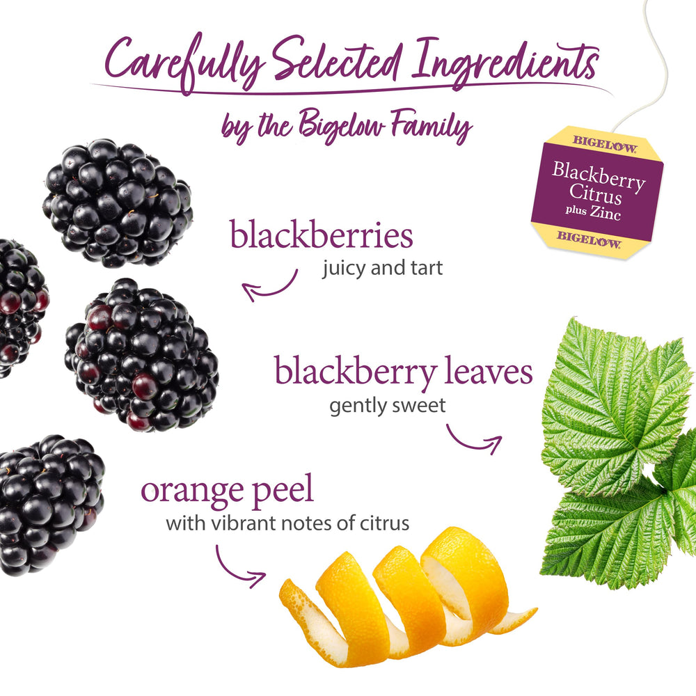 Six-box Bigelow Blackberry Citrus Plus Zinc display on kitchen shelf