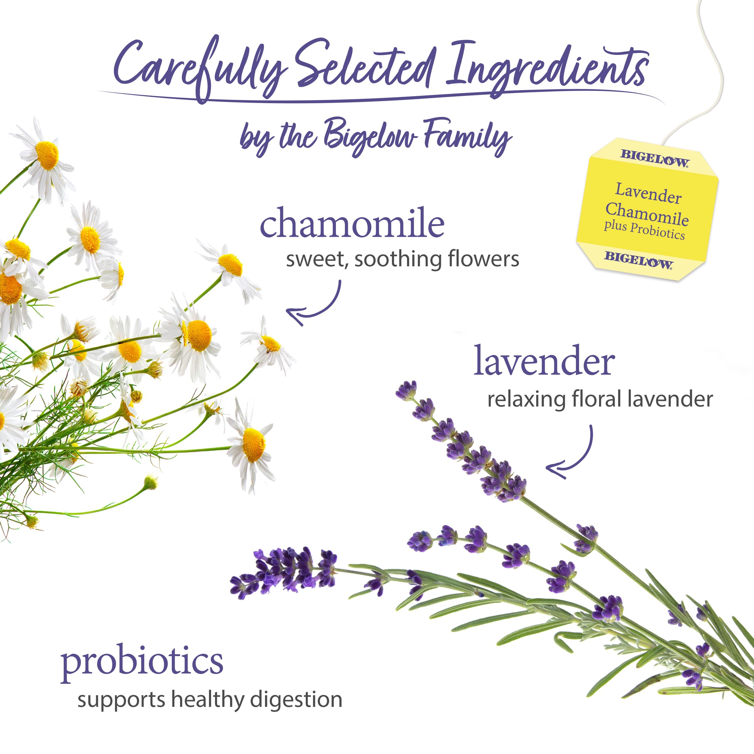 Variety of Bigelow teas including lavender chamomile for different moments