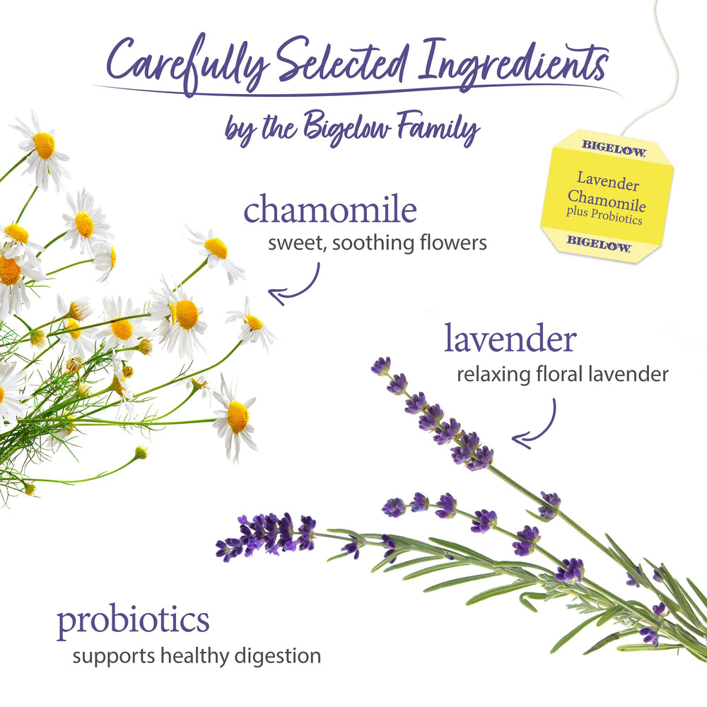 Variety of Bigelow teas including lavender chamomile for different moments