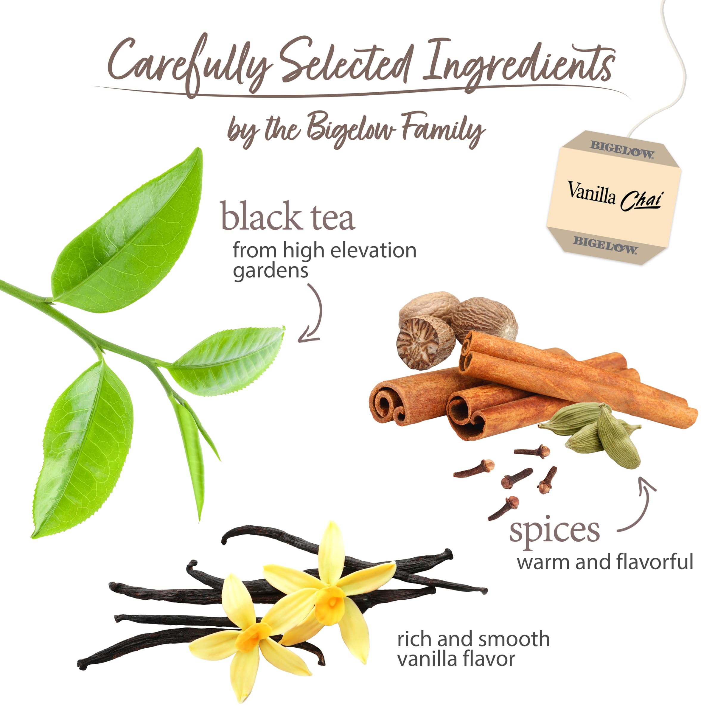 Steaming cup of Bigelow Vanilla Chai infused with spice.