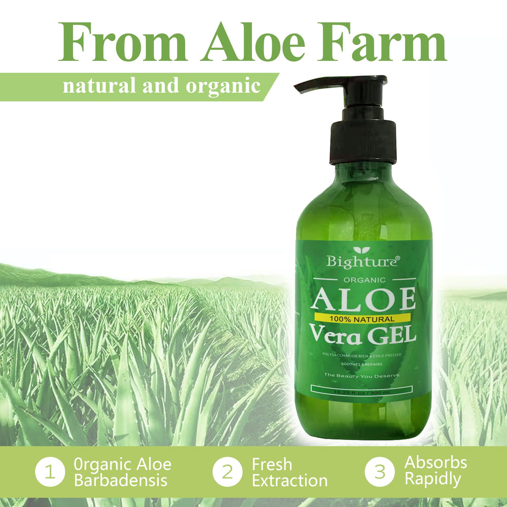BIGHTURE aloe leaves close-up for fresh plant-based nourishment