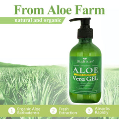 BIGHTURE aloe leaves close-up for fresh plant-based nourishment
