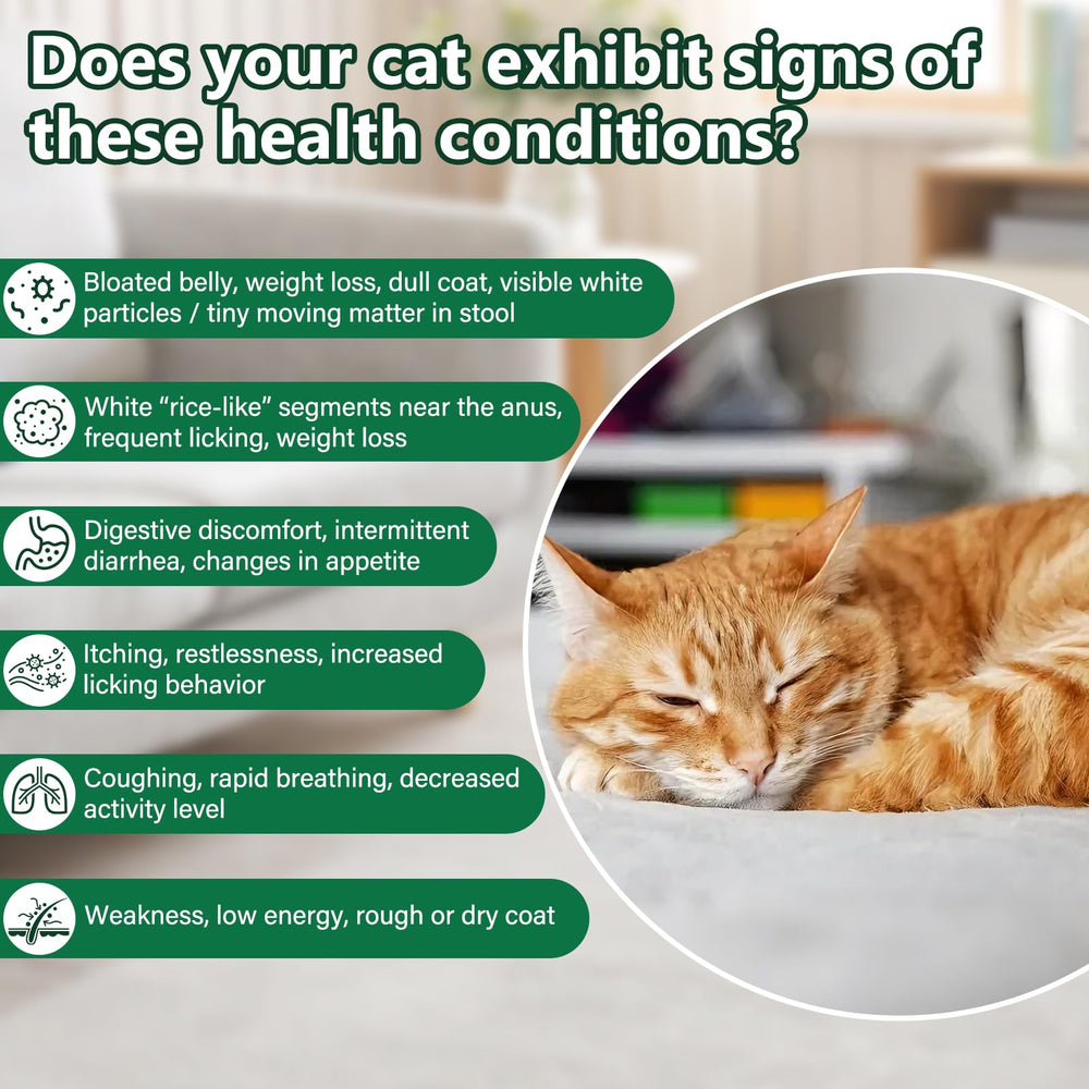 BiKontrun dewormer for cats mix with food ready to be added to meals