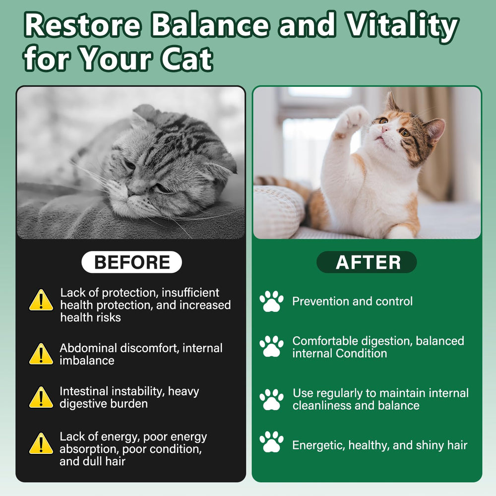 BiKontrun dewormer for cats packaging box showcases product packaging