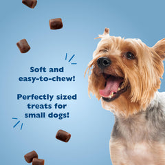 Bil-Jac Little Jacs puppy training session showing small dog rewards.