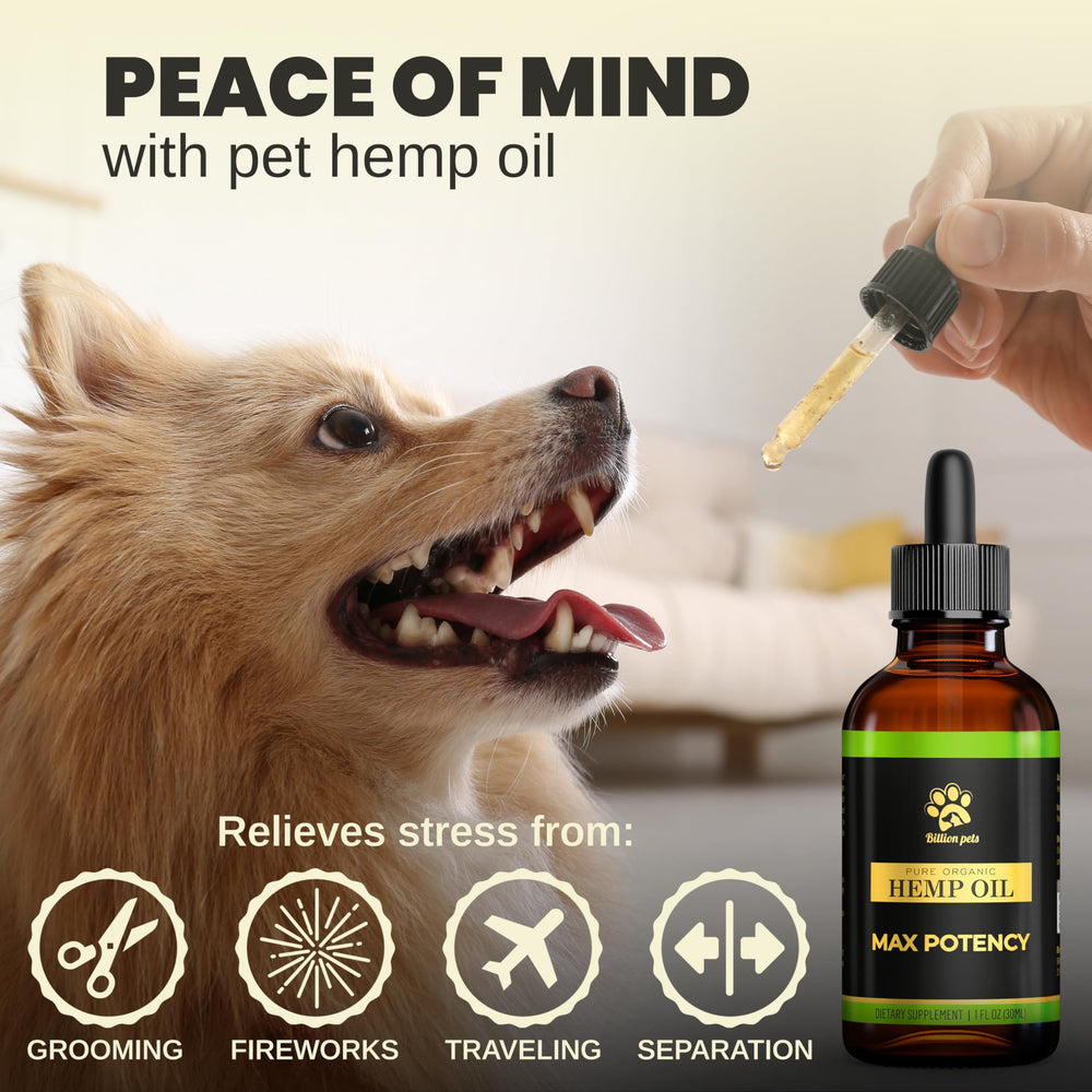 Digestive health support via Billion Pets Hemp Oil