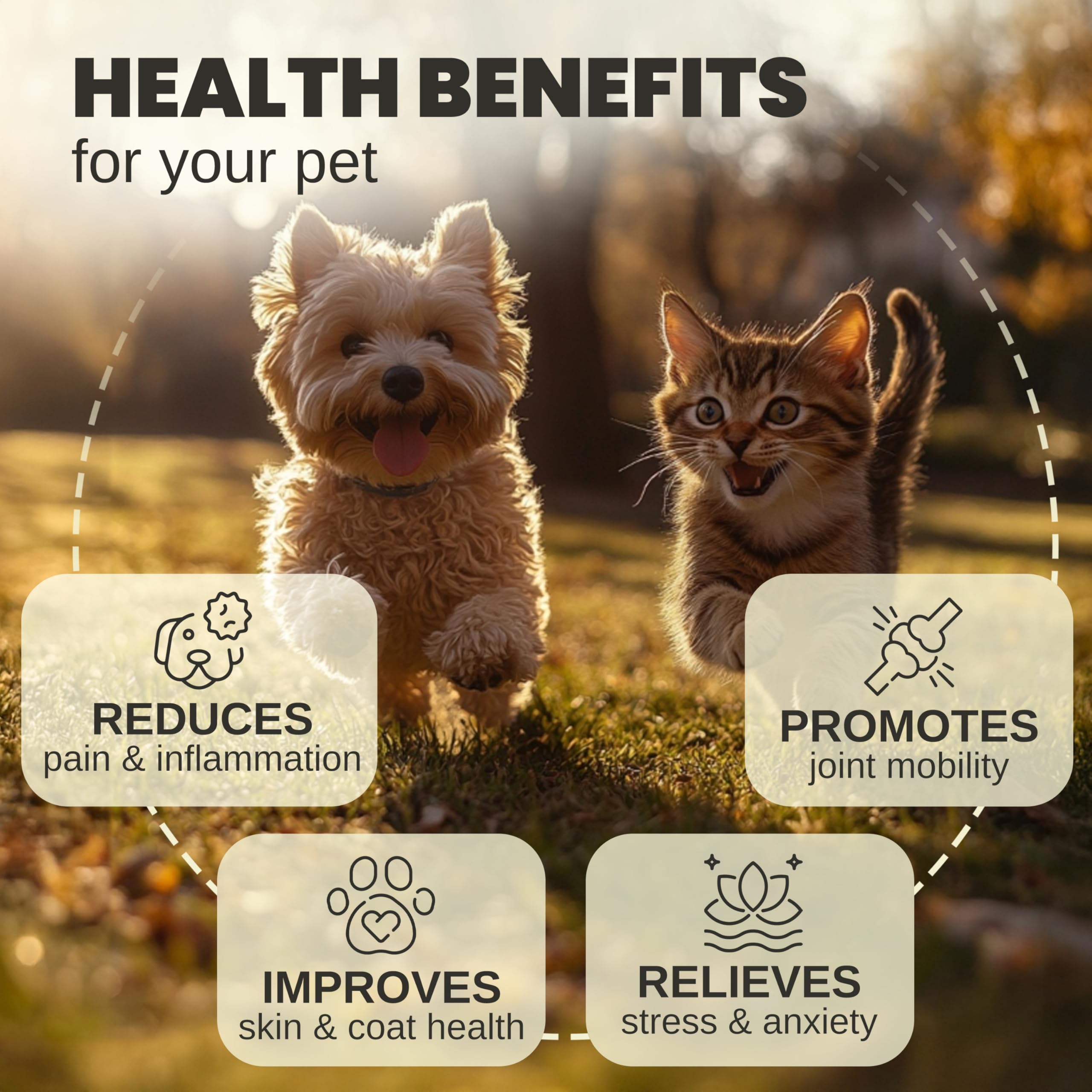 Billion Pets Hemp Oil dropper ensures precise, easy dosing for pets