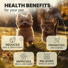 Billion Pets Hemp Oil dropper ensures precise, easy dosing for pets
