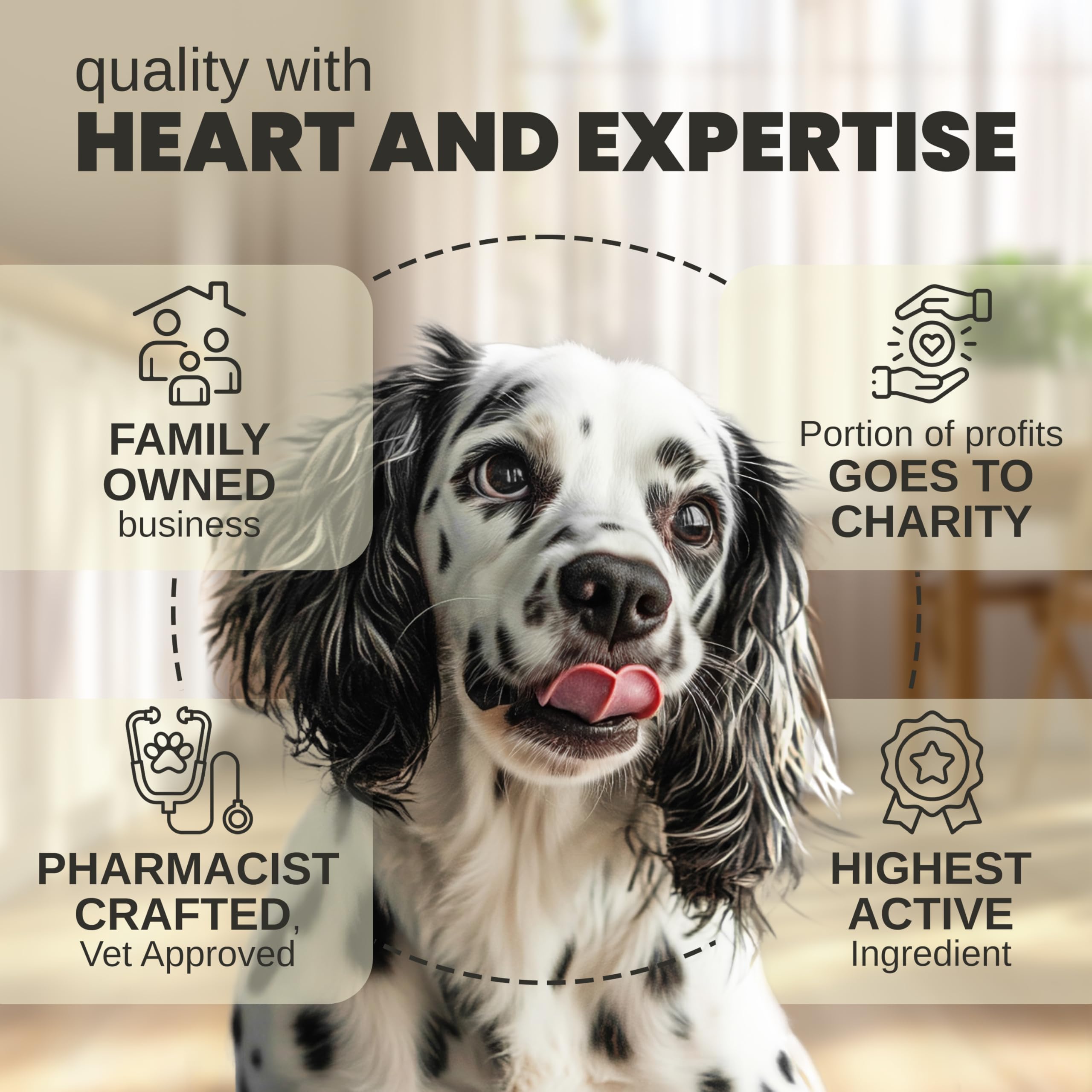 Joint comfort visual with Billion Pets Hemp Oil for animals