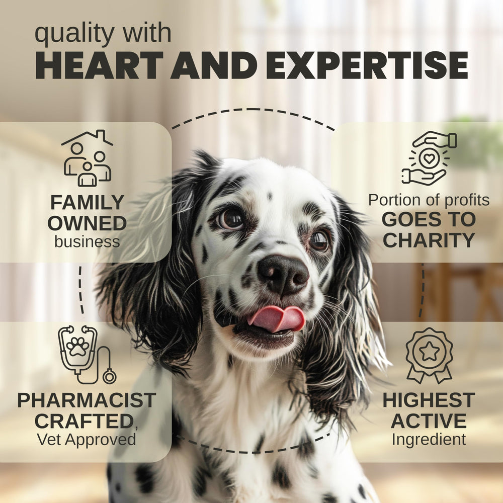 Joint comfort visual with Billion Pets Hemp Oil for animals