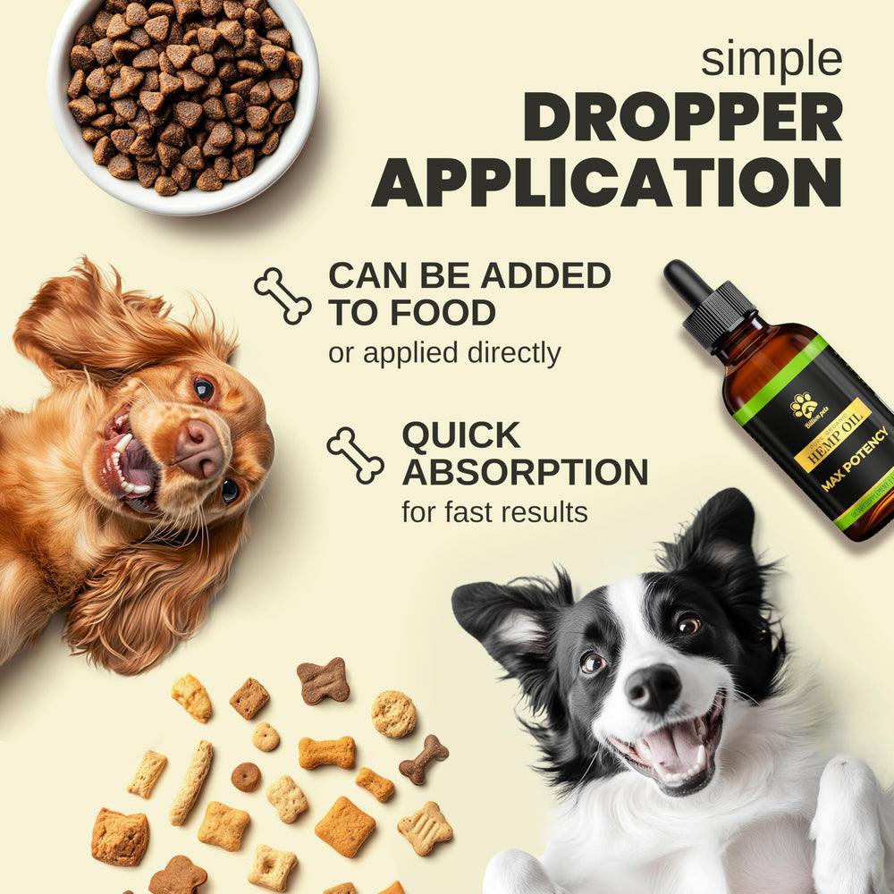 Shiny coat after using Billion Pets Hemp Oil for pets