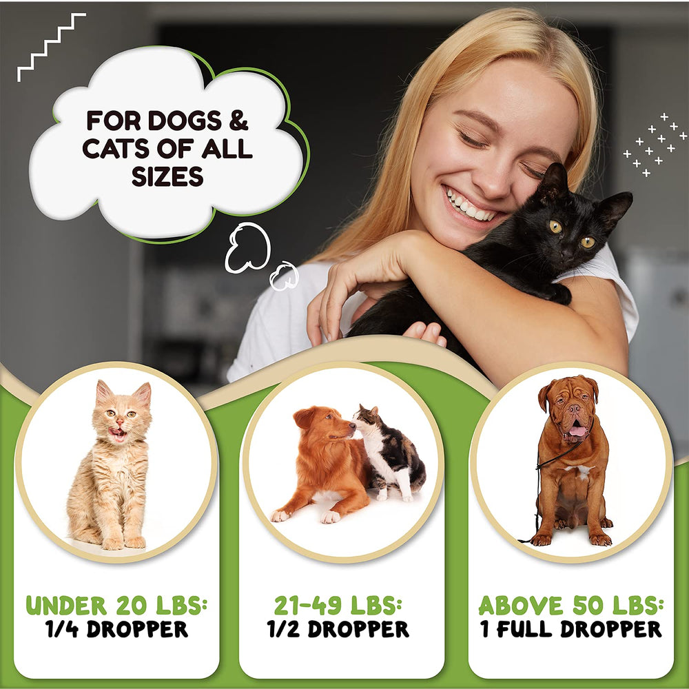 Travel-relief scenario featuring Billion Pets Hemp Oil during trips