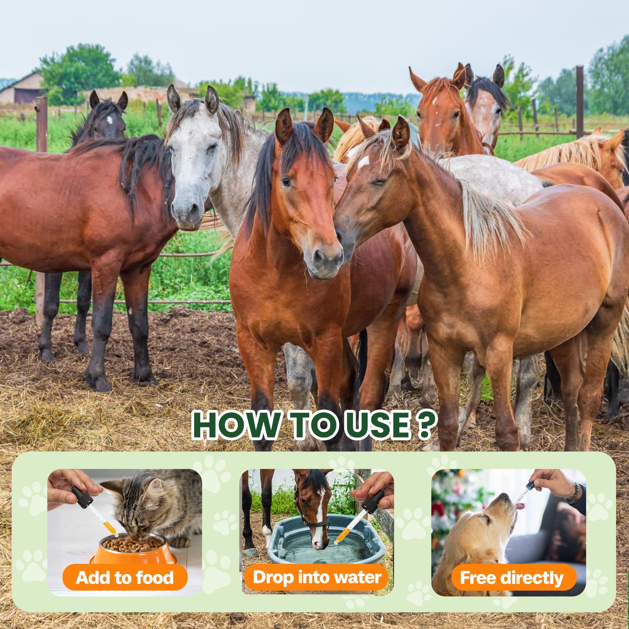 Bingbrofam dewormer lab-tested for purity and safety.