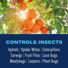 BioAdvanced 3-in-1 spray applied on leaves to deter pests while supporting plant vigor.