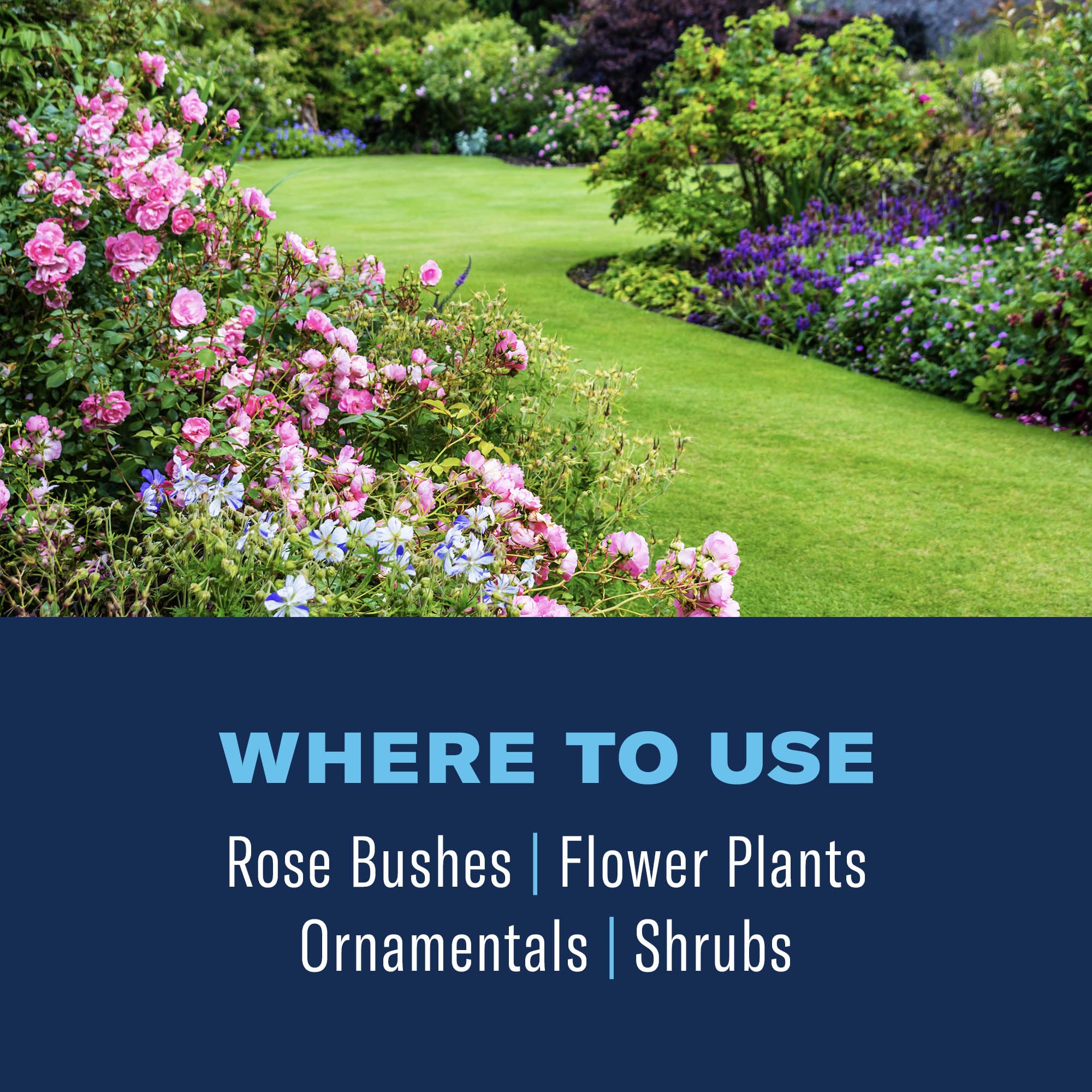 Healthy, vigorous plants after BioAdvanced 3-in-1 treatment.