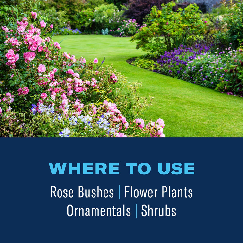 Healthy, vigorous plants after BioAdvanced 3-in-1 treatment.