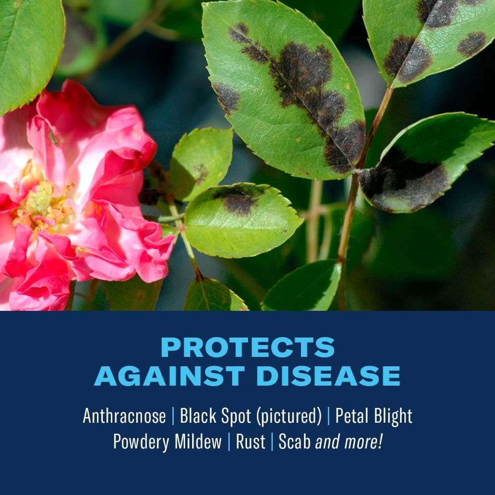BioAdvanced insect-control action protects roses and garden foliage.