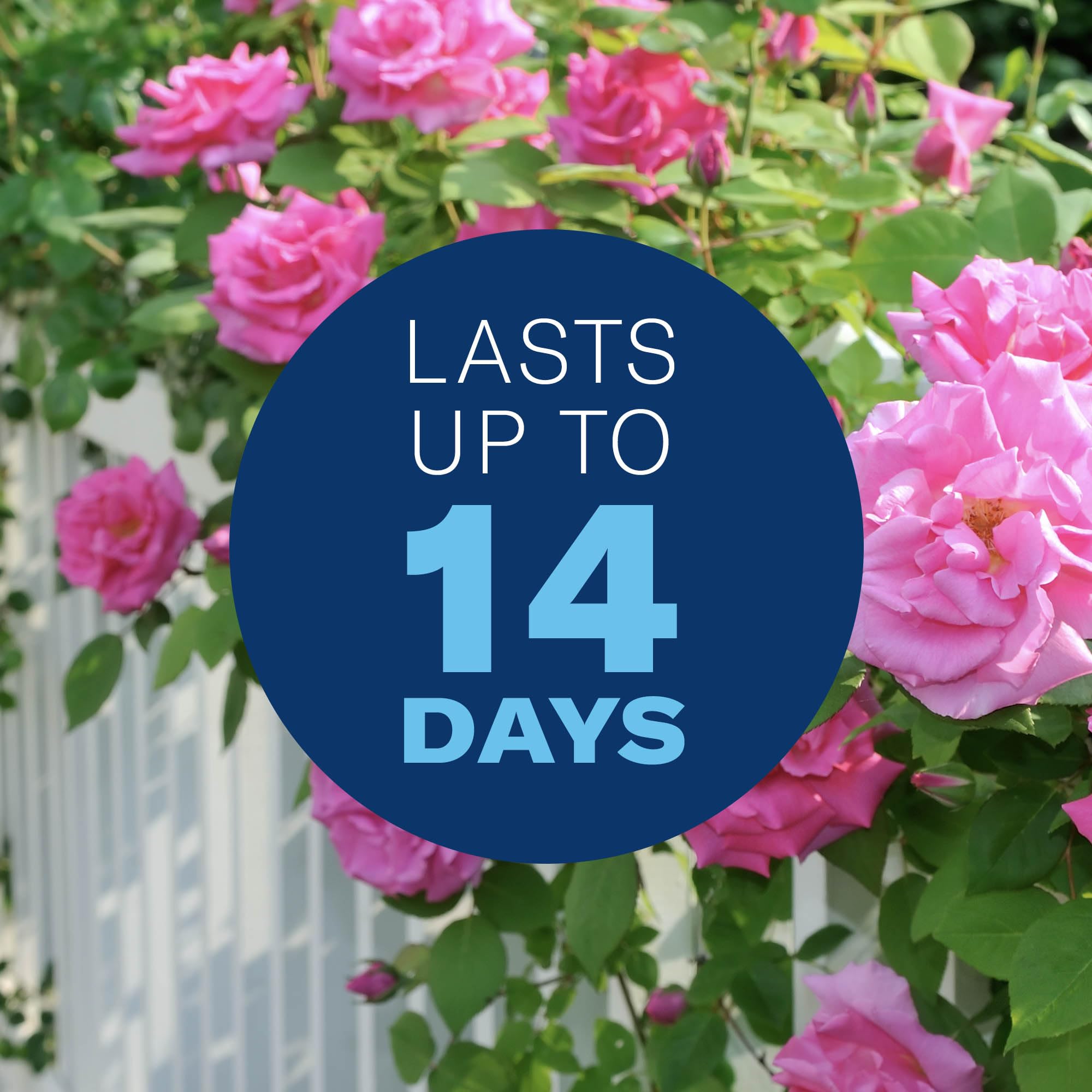 BioAdvanced 3-in-1 outdoor coverage guards trees and shrubs.