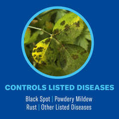 BioAdvanced 3-in-1 pest application reduces aphids and whiteflies.