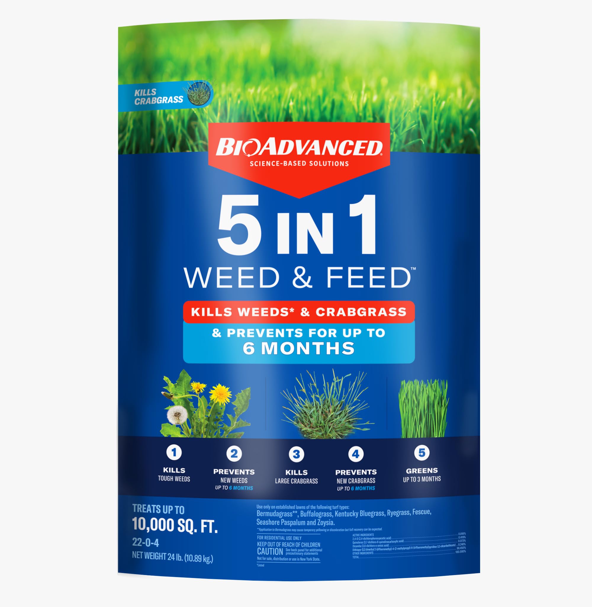 BioAdvanced 5 In 1 weed and feed granules bag supports spring and summer lawn care.