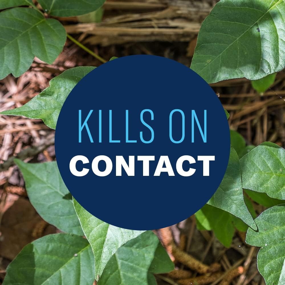 BioAdvanced Blackberry Bramble Killer enabling fence line cleanup and trail maintenance.