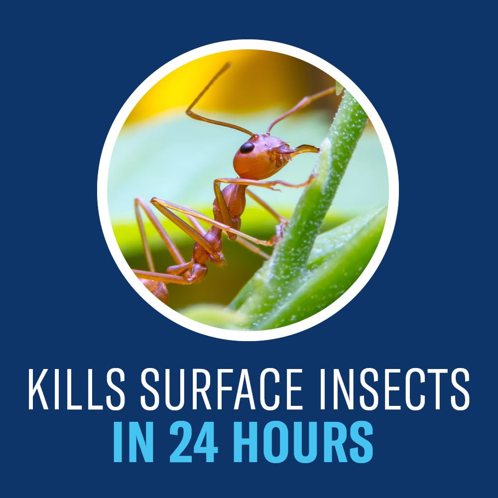 Coverage up to 6,667 square feet with BioAdvanced Complete Insect Killer concentrate.