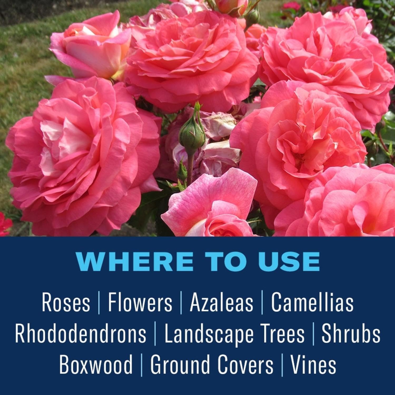 BioAdvanced Disease Control usable indoors and outdoors on various plants.
