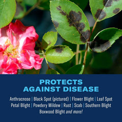 BioAdvanced Disease Control protects against powdery mildew on plants.