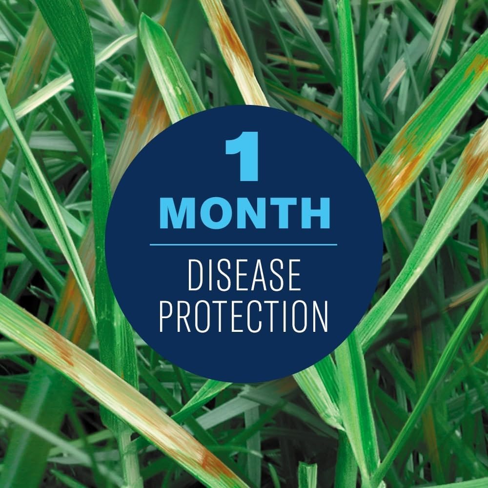 BioAdvanced Fungus Control ready-to-spray on lawn helps prevent common diseases.