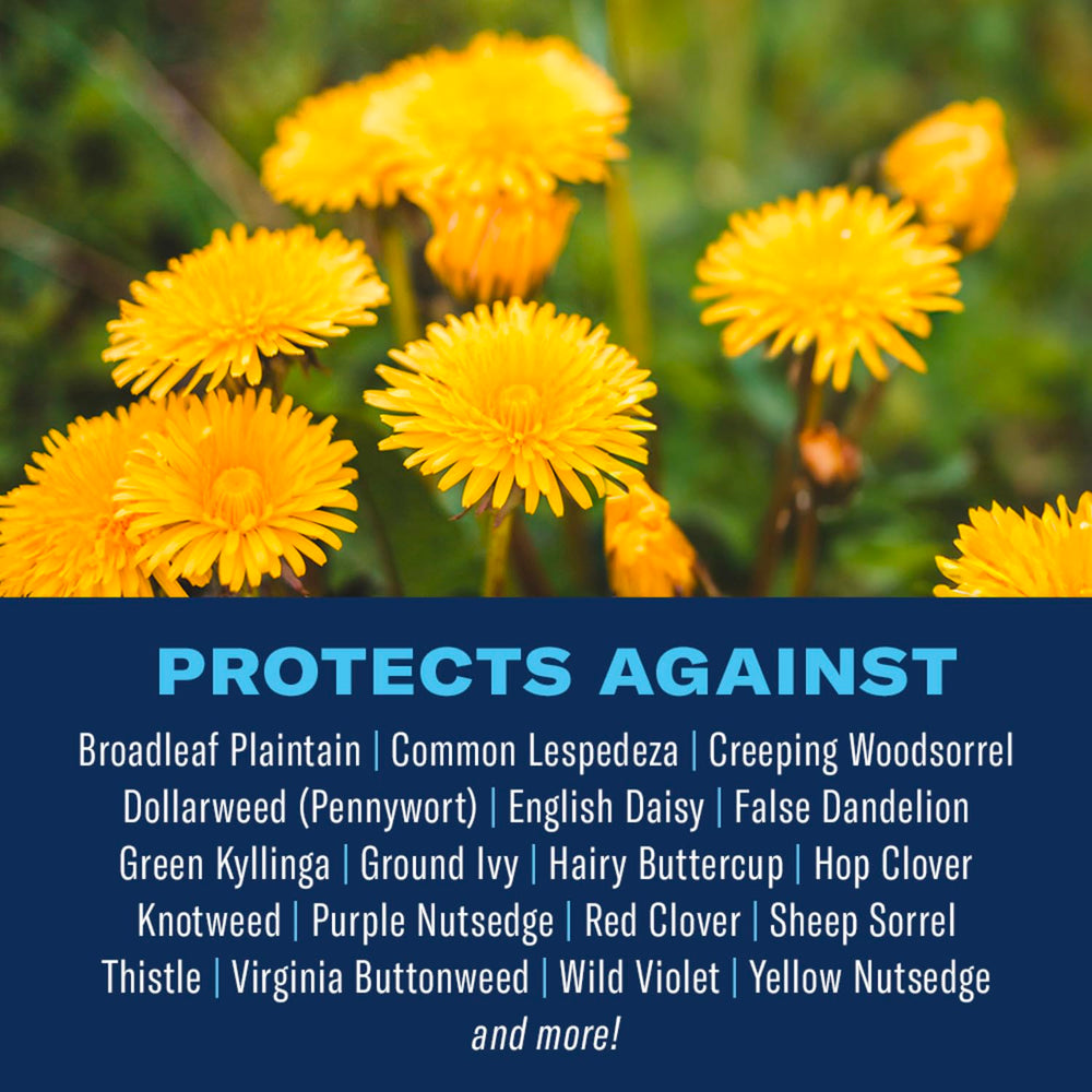 BioAdvanced lawn fertilizer with 35-0-3 NPK feeds grass for steady growth.