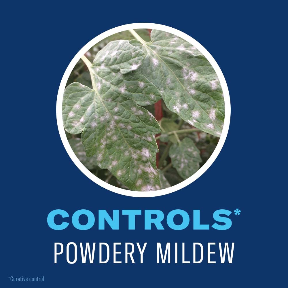 BioAdvanced Organics blue bottle combats aphids, caterpillars, and mites on edibles.