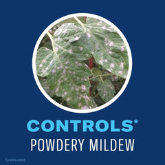 BioAdvanced Organics blue bottle combats aphids, caterpillars, and mites on edibles.