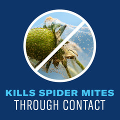 Powdery mildew control from BioAdvanced Organics helps protect leaves.